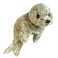 Folkmanis Harbor Seal Hand Puppet Brown Cream Black 1 EA