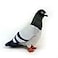 Adore Plush Adore 10 Rocky the Pigeon Plush Stuffed Animal Toy