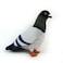 Adore Plush Adore 10 Rocky the Pigeon Plush Stuffed Animal Toy