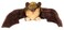 WILD REPUBLIC Wild Republic CkMini Little Brown Bat 8 Plush