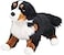 Douglas Alps Bernese Mountain Dog Plush Stuffed Animal