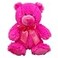 Anico 8 Hot Pink Teddy Bear Bright Pink Bear Soft Plush Small Bear Perfect for Kids Birthdays Holidays and More