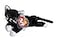 BEANIE BABIES Ty Beanie Babies Zip The Black Cat with White Paws