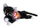 BEANIE BABIES Ty Beanie Babies Zip The Black Cat with White Paws