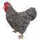 Adore Plush Adore 12 Standing Roxy the Hen Chicken Plush Stuffed Animal Toy