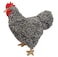 Adore Plush Adore 12 Standing Roxy the Hen Chicken Plush Stuffed Animal Toy