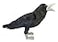 Adore Plush Adore 18 Standing Shadow The Raven Crow Bird Plush Stuffed Animal Toy