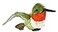 WILD REPUBLIC Wild Republic Hummingbird Soft Toy 8 Cuddlekins