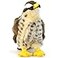 TigerHart Percival the Peregrine Falcon 10 Inch Hawk Stuffed Animal Plush Bird Toys