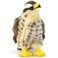 TigerHart Percival the Peregrine Falcon 10 Inch Hawk Stuffed Animal Plush Bird Toys