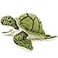 TigerHart Turquoise The Green Sea Turtle 10 Inch Stuffed Animal Plush