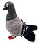 Adore Plush Adore 12 Homer The Pigeon Plush Stuffed Animal Toy