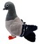Adore Plush Adore 12 Homer The Pigeon Plush Stuffed Animal Toy