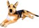 TigerHart Hero The German Shepherd 19 Inch Stuffed Animal Plush Dog