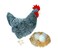 Adore Plush Adore 12 Barbara the Hen Chicken with Eggs Nest Stuffed Animal Plush Toy