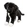 Douglas Twister Black LabPit Bull Mix Plush Stuffed Animal 16inch Long