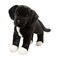 Douglas Twister Black LabPit Bull Mix Plush Stuffed Animal 16inch Long