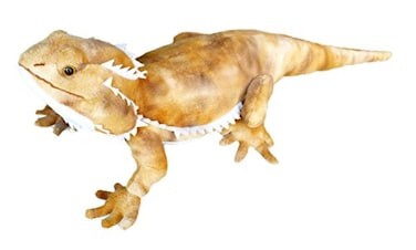 Adore Plush Adore 21 Pogo The Bearded Dragon Lizard Stuffed Animal Plush Toy