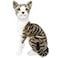 TigerHart Amy The American Shorthair Cat 14 Inch Stuffed Animal Plush