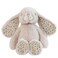 DILLY DUDU Blossom Bunny Rabbit Stuffed Animal Plush Toy Best Gifts 10InchBeige