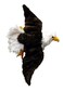 Adore Plush Adore 27 Liberty the Bald Eagle Stuffed Animal Plush Walltoy Wall Mount