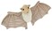 MerryMakers Stellaluna Plush Doll 8Inch