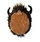 Adore Plush Adore 12 Bill the Buffalo Stuffed Animal Plush Walltoy Wall Mount