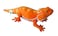 Adore Plush Adore 21 Carrot the Bearded Dragon Lizard Stuffed Animal Plush Toy