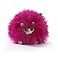 The Noble Collection Harry Potter Collector Pygmy Puff Plush Pink