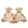 oits cute 2Pack Teddy BearCute Stuffed AnimalCouple Gift Soft Plush Toy 11inch Vintage Dress
