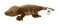 Adore Plush Adore 19 Lashes the Crested Gecko Stuffed Animal Plush Toy