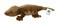 Adore Plush Adore 19 Lashes the Crested Gecko Stuffed Animal Plush Toy