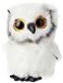 Ty TY Beanie Boo Owl Austin 15 CM