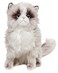 Bearington Collection Tasha Himalayan Realistic Cat Stuffed Animal 105 in Soft Fur Kitten Plush Toy for Kids