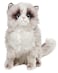 Bearington Collection Tasha Himalayan Realistic Cat Stuffed Animal 105 in Soft Fur Kitten Plush Toy for Kids