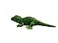 WOKI 12 Creative Lizard Iguana The Bearded Dragon Lizard Stuffed Animal Plush Toy Including Tail Measurement