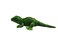 WOKI 12 Creative Lizard Iguana The Bearded Dragon Lizard Stuffed Animal Plush Toy Including Tail Measurement