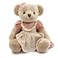 suepcuddly Jointed Teddy Bear Stuffed Animals Small Soft Plush Toy with Cloth Rose Red 13Inch