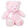 Jolitee My First Bear Stuffed Animal Pink Teddy Bear for Baby for Newborn 10