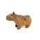 EVOLVEOVER Capybara Plush Toy Stuffed Capybara Gifts 78 inches