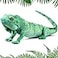 Syhood Lizard Stuffed Animals 374 Realistic Plush Lizard Soft Plush Reptile Gift for Animal Lovers Birthday EasterIguana
