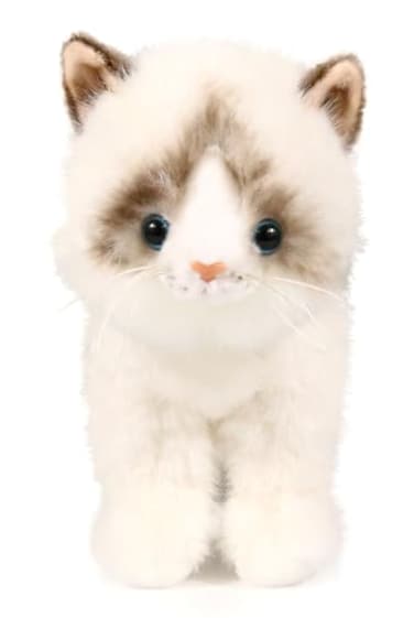 Ice King Bear Little Ragdoll Cat Stuffed Animal Kitten Plush Toy Standing