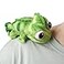KRK 6inch Pascal Lizard Plush Shoulder Toy Chameleon Animal Plush Magnet Buddy Pascal Doll