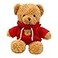 XiRiDa Teddy Bear Stuffed Animals Soft Cute Bear Plush Hug Toys 118