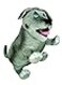 MerryMakers Walter the Farting Dog Plush Toy 8Inch