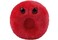GIANT MICROBES GIANTmicrobes Red Blood Cell Plush Blood Drop Plush Blood Bank Gifts for Lab Techs Hematology Phlebotomy Gifts Leukemia Awareness Immunology Gift Lymphatic System