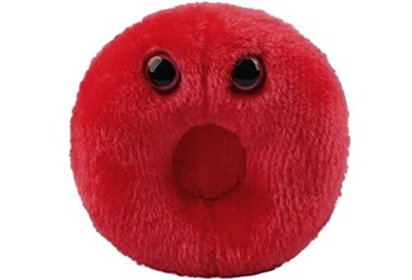 GIANT MICROBES GIANTmicrobes Red Blood Cell Plush Blood Drop Plush Blood Bank Gifts for Lab Techs Hematology Phlebotomy Gifts Leukemia Awareness Immunology Gift Lymphatic System