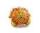 Celestial Buddies Sun Buddy 12 Soft Stuffed Plush Embroidered Features Fun Planet Facts Tag for Kids STEM Learning Educational Gift Classroom Homeschool Science Space Astronomy 0