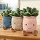 Evlooe 3pcs Succulents Plush Toy Cute Succulents Plushies Stuffed Potted Plants Plush Doll Soft Plush Succulent Gifts for Kids Boys PinkWhiteBlue