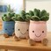 Evlooe 3pcs Succulents Plush Toy Cute Succulents Plushies Stuffed Potted Plants Plush Doll Soft Plush Succulent Gifts for Kids Boys PinkWhiteBlue